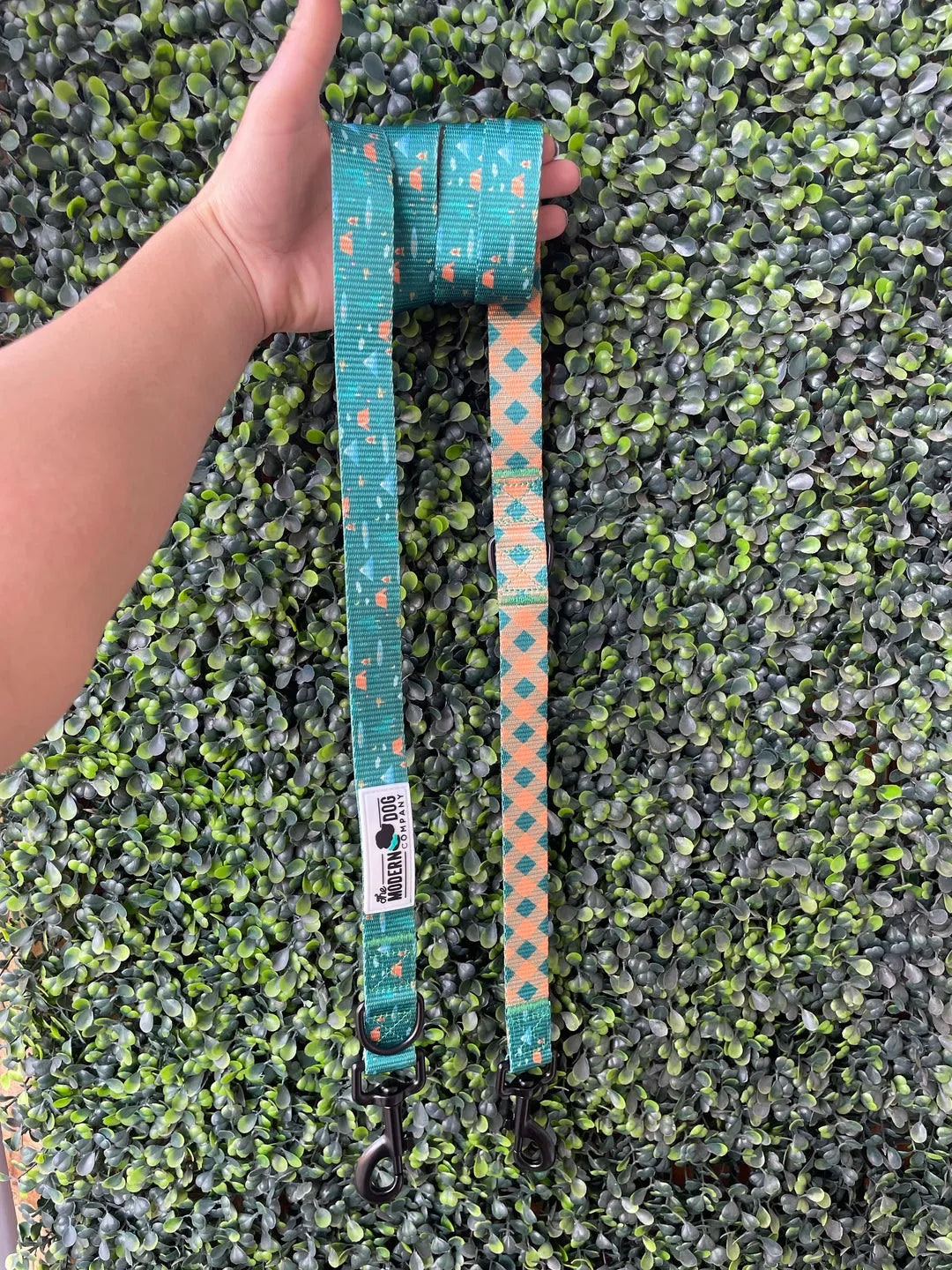 Purrfect Pet Kingdom Dog Leash in Camping Adventure Print, available in Standard size for dogs, vibrant colors, perfect fo...