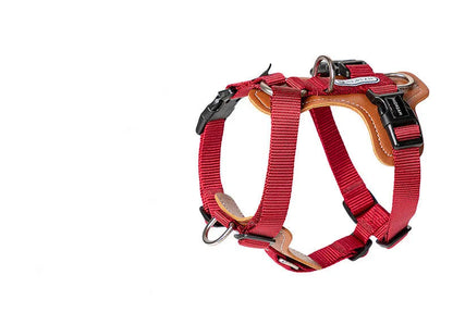 Purrfect Pet Kingdom® - Dog Leash Explosion-proof Puppies Type - 0