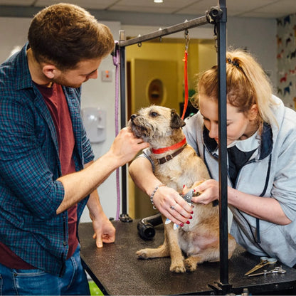 Purrfect Pet Kingdom® - Dog Nail Clippers Pet Cat Nail Toe Trimmer Stainless Steel - Nail Care