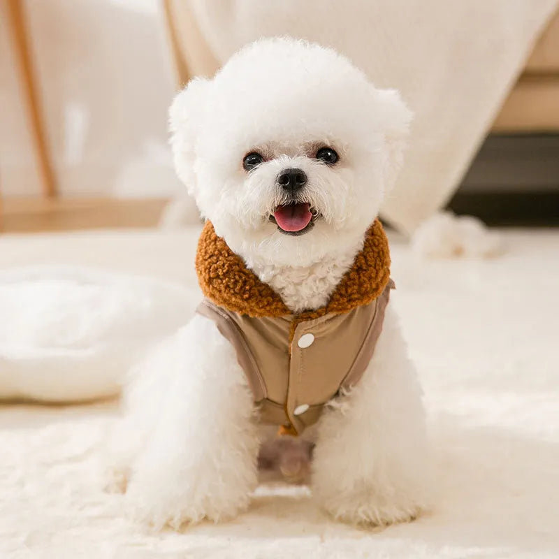 Purrfect Pet Kingdom® - Dog Puppy Clothes Korean Style Coffee Sweater Fit Small Dog - Pet Sweaters