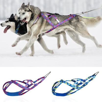 Purrfect Pet Kingdom® - Dog Sled Chest Strap Hand Holding Rope - Dog Leashes