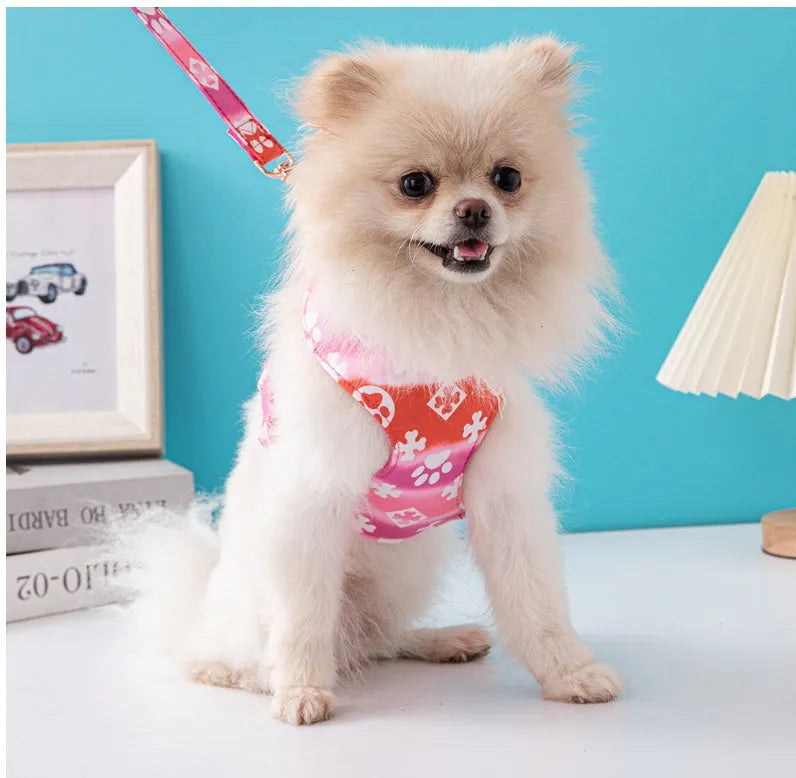 Purrfect Pet Kingdom® - Dog Traction Rope Dog Traction Spot Hot Sale Jarre Aero Bull - 0