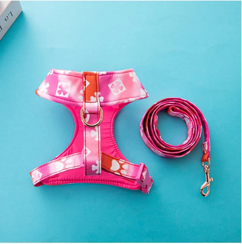 Purrfect Pet Kingdom® - Dog Traction Rope Dog Traction Spot Hot Sale Jarre Aero Bull - Dog Leashes