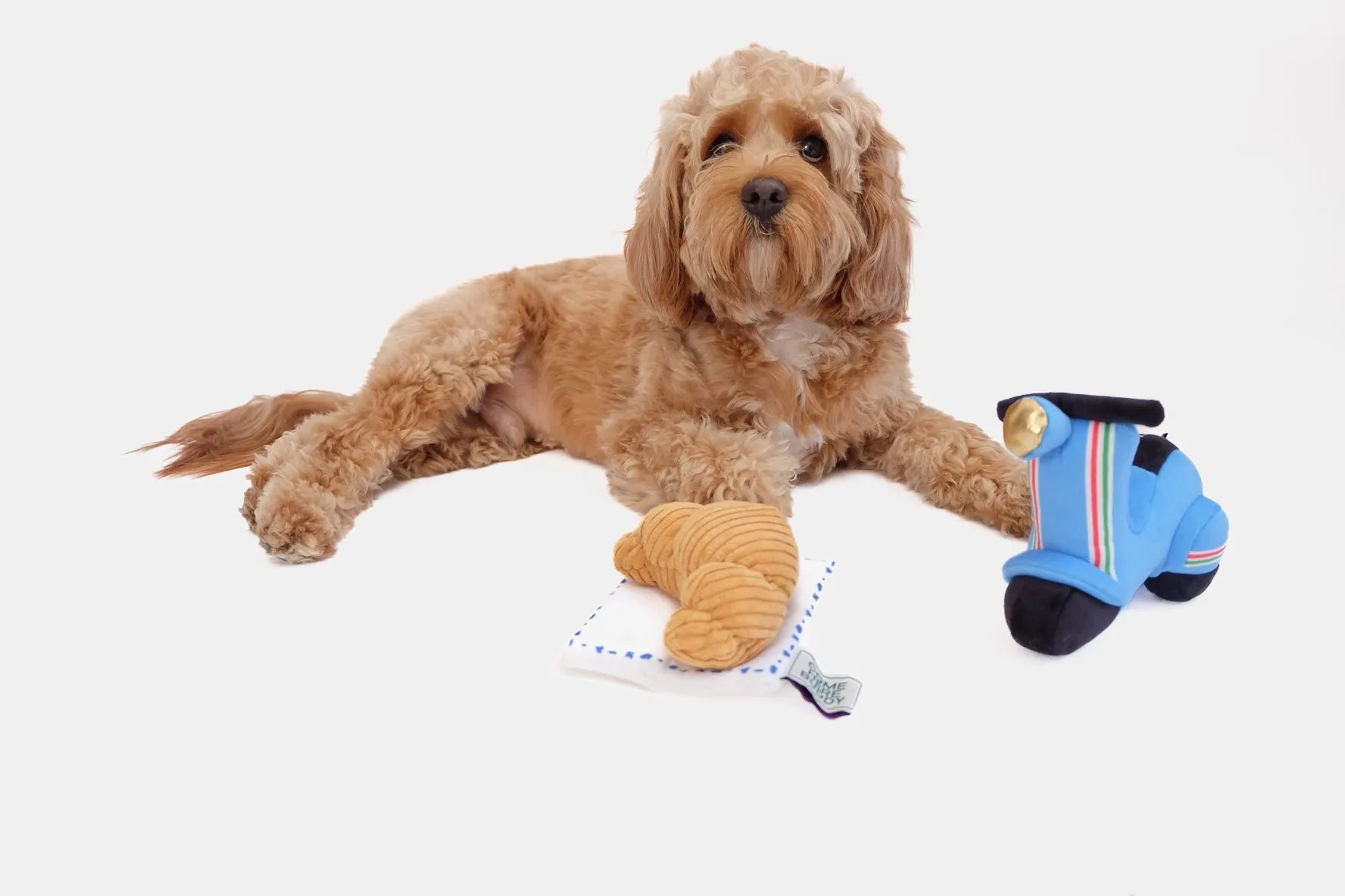 Purrfect Pet Kingdom - Durable Plush Scooter Squeaky Toy for Active Canine Playtime - Dog Toys