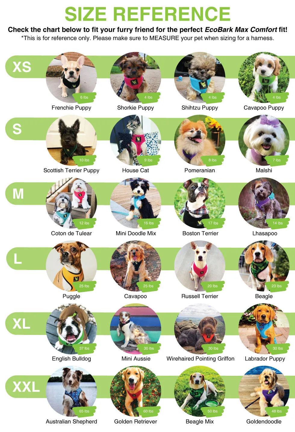 Purrfect Pet Kingdom® - EcoBark Mint Turquoise Dog Harness - Over-the-Head Soft Mesh - Dog Harness