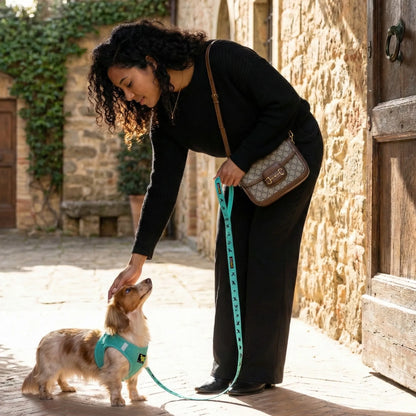 Purrfect Pet Kingdom - EcoBark Step In Dog Harness - XXXS to Small Breeds- Reflecti - Dog Harnesses