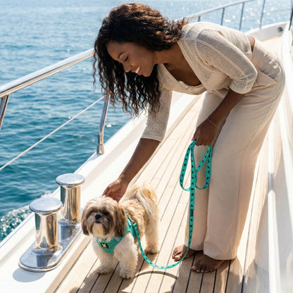 Purrfect Pet Kingdom - EcoBark Step In Dog Harness - XXXS to Small Breeds- Reflecti - Dog Harnesses