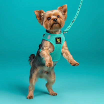 Purrfect Pet Kingdom - EcoBark Step In Dog Harness - XXXS to Small Breeds- Reflecti - Dog Harnesses