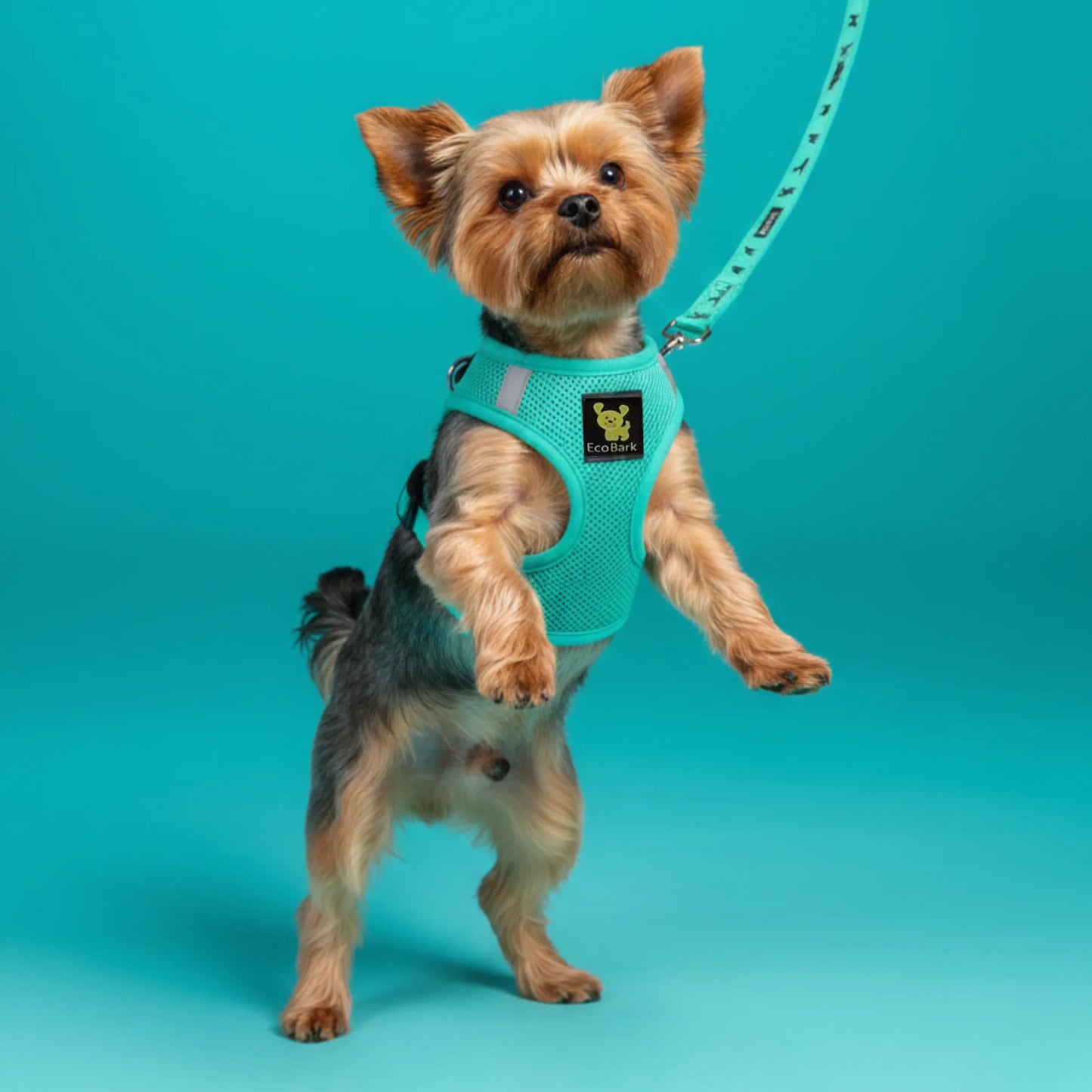 Purrfect Pet Kingdom - EcoBark Step In Dog Harness - XXXS to Small Breeds- Reflecti - Dog Harnesses