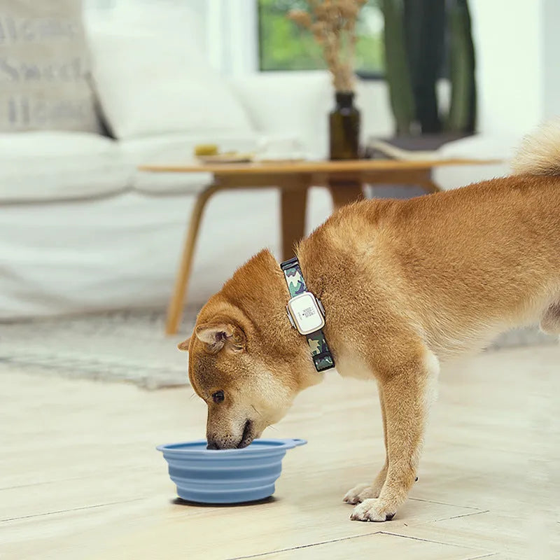 Purrfect Pet Kingdom® - Factory Wholesale Silicone Folding Bowls For Cats And - Dog Travel Bowls