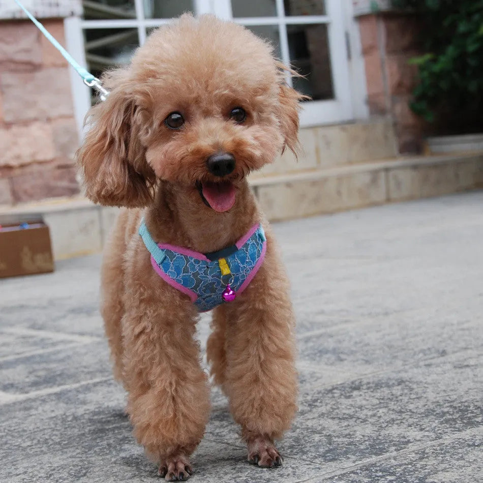 Purrfect Pet Kingdom® - Fashion Lace Mesh Fabric Traction Rope - Dog Leashes