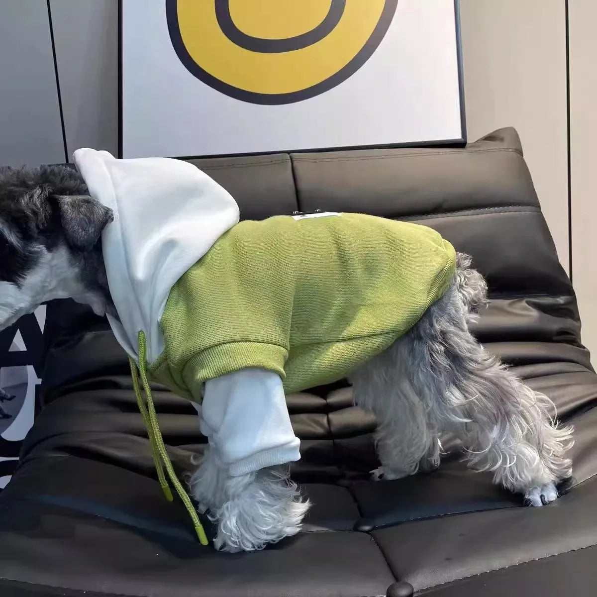 Purrfect Pet Kingdom® - Fleece-lined Insulated Hooded Sweatshirt For Pets - Hoodies