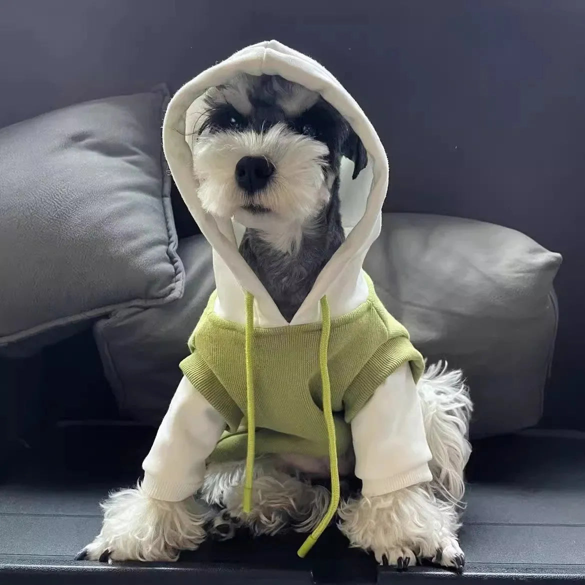 Purrfect Pet Kingdom® - Fleece-lined Insulated Hooded Sweatshirt For Pets - Hoodies