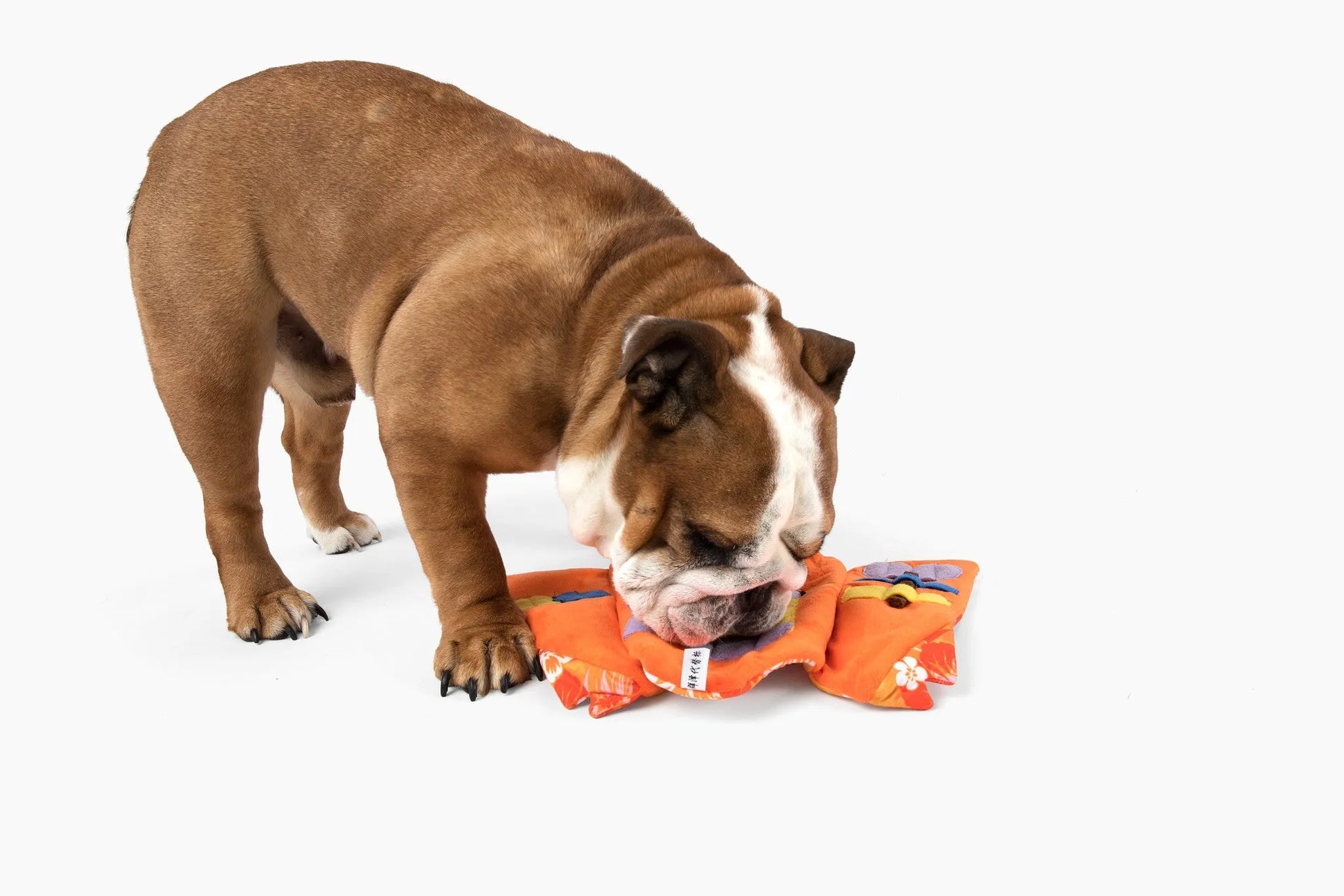 Purrfect Pet Kingdom® - Floral Plush Nose Work Puzzle Toy for Engaging Dog Playtime - Dog Toys