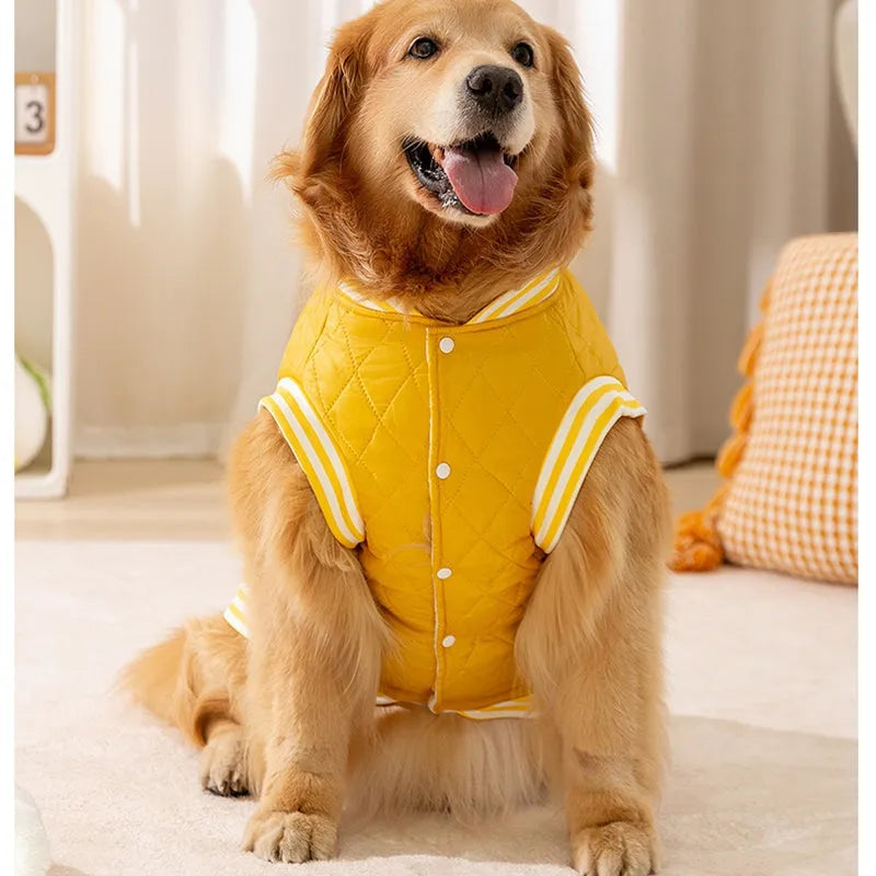 Purrfect Pet Kingdom® - For Autumn And Winter, Large Dog Breeds Such As Golden - 4