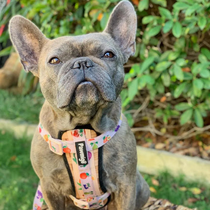 Purrfect Pet Kingdom® - Frootie Patootie X-Fit Dog Harness Premium Fruit Print Desi - Harnesses