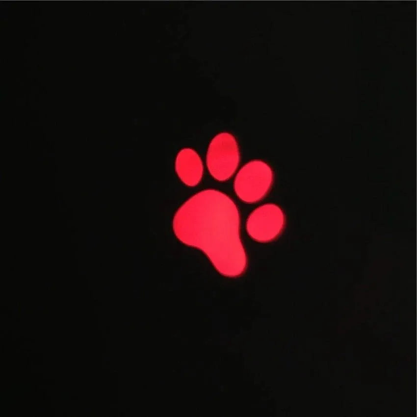 Purrfect Pet Kingdom® - Funny Pet LED Laser Toy Cat Laser Toy Cat Pointer Light Pen - Cat Toys