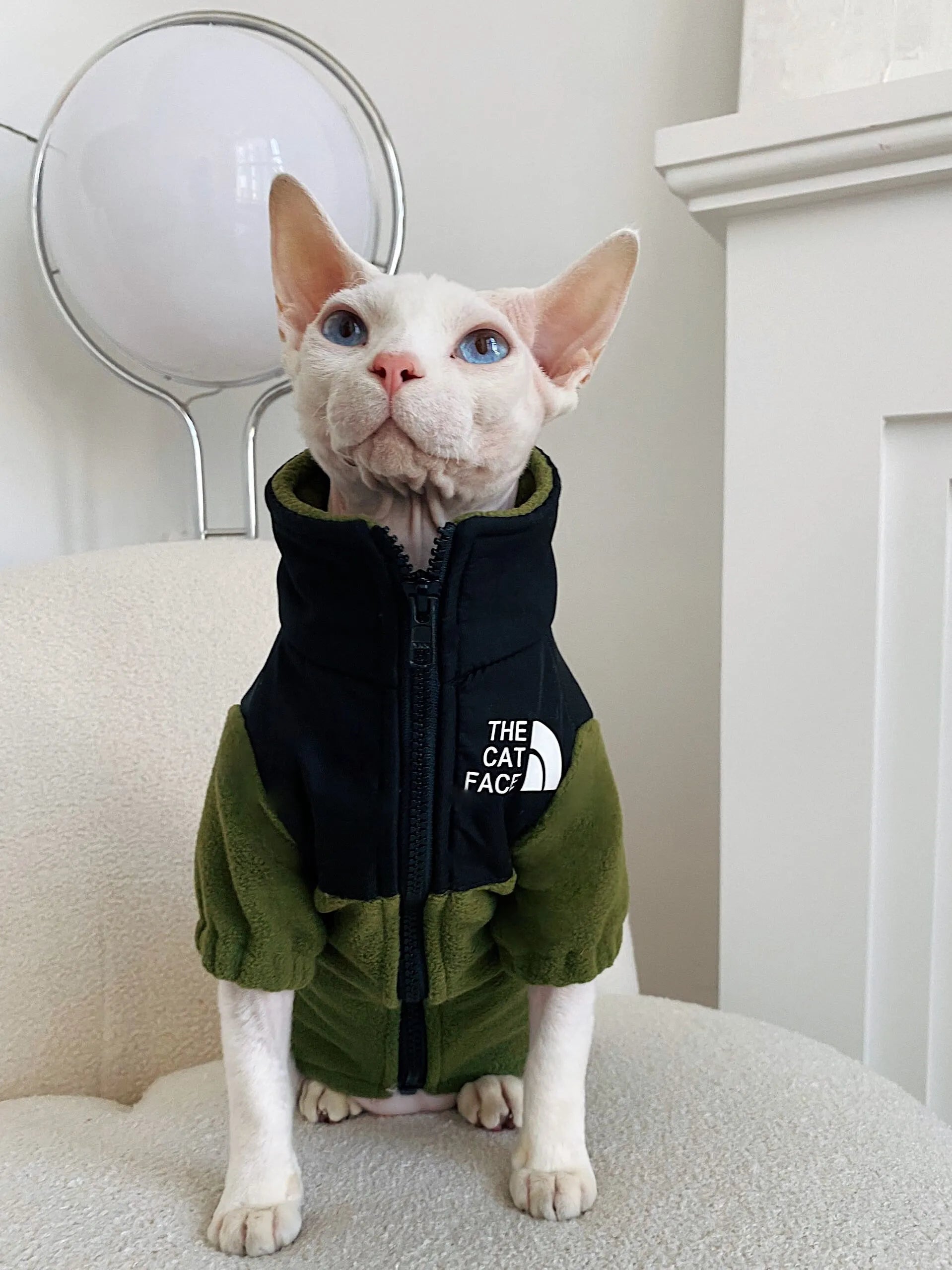 Purrfect Pet Kingdom® - Hairless Cat Clothes Warm Pet Cat Clothes - Hoodies