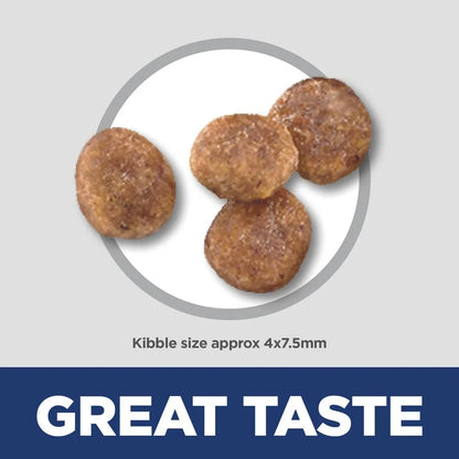 Purrfect Pet Kingdom® - Hill's Science Diet Adult Small & Mini Chicken Meal & Rice - Dry Dog Food