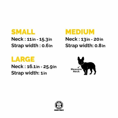 Purrfect Pet Kingdom - Industrial Belt | Collar - Dog Collars