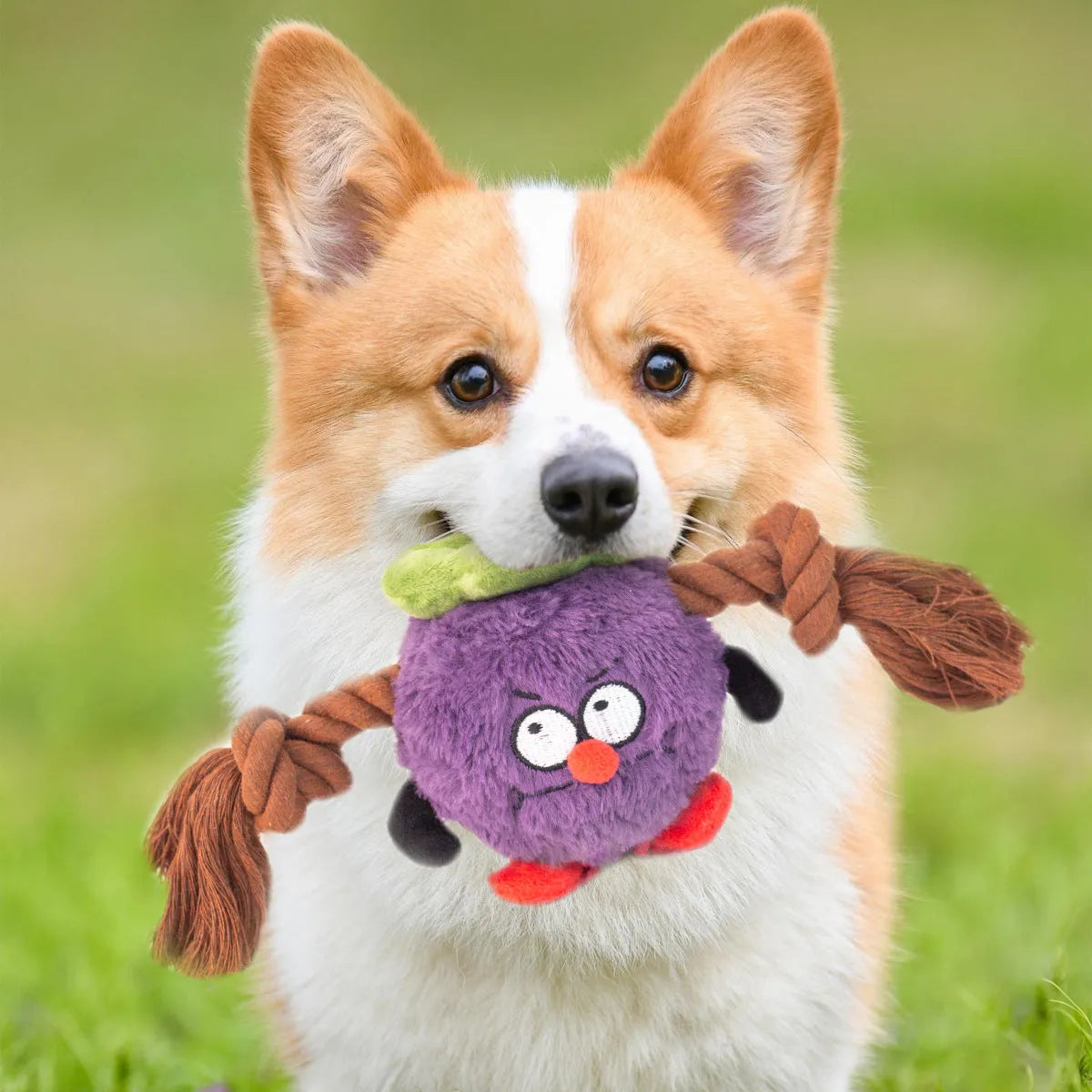 Purrfect Pet Kingdom® - Interactive Dog Toy Plush Rope Knot Tug Of War Game Bb Bite - Dog Toys