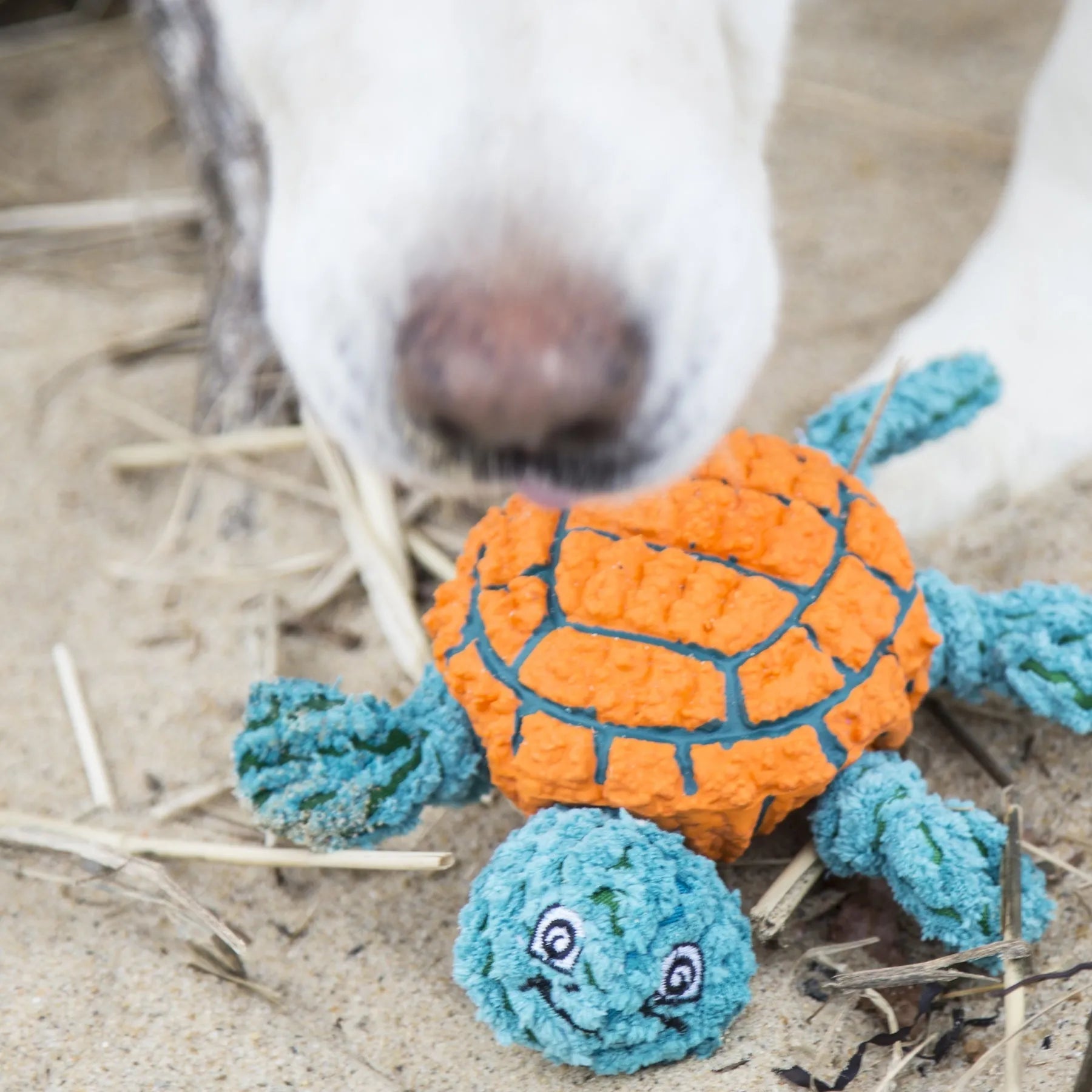 Purrfect Pet Kingdom® - Interactive Plush Turtle Dog Toy for Play and Enrichment - Dog Toys