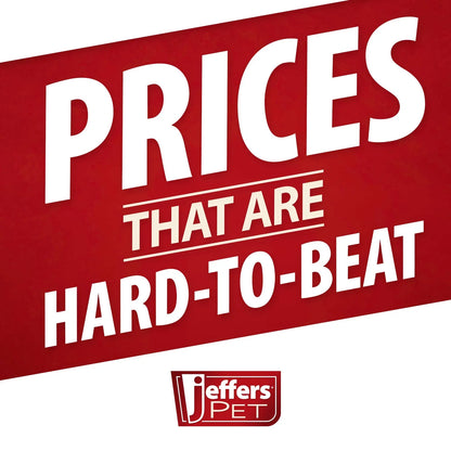 Purrfect Pet Kingdom® - Jeffers Padded Black Leather Dog Collar with Nickel Hardware - Dog Collars