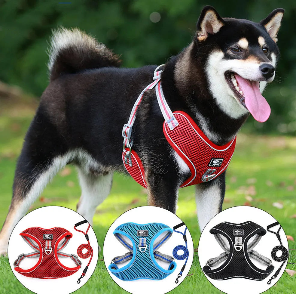 Purrfect Pet Kingdom® - Large Dog Chest Strap Reflective Breathable Rope - Dog Leashes