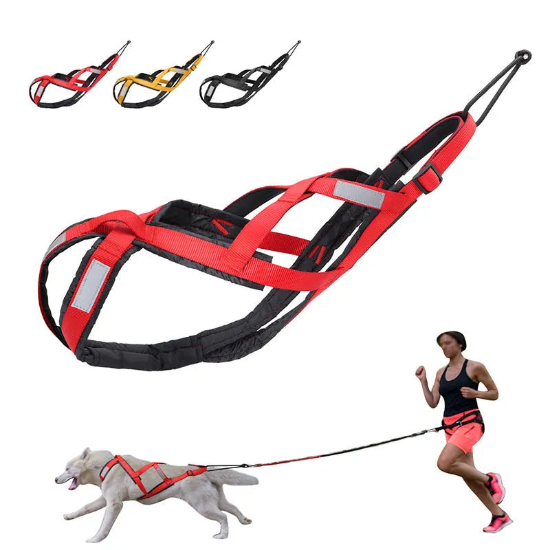 Purrfect Pet Kingdom® - Large Dog Vest Alaska Sled Dog Hand Holding Rope - Dog Harness
