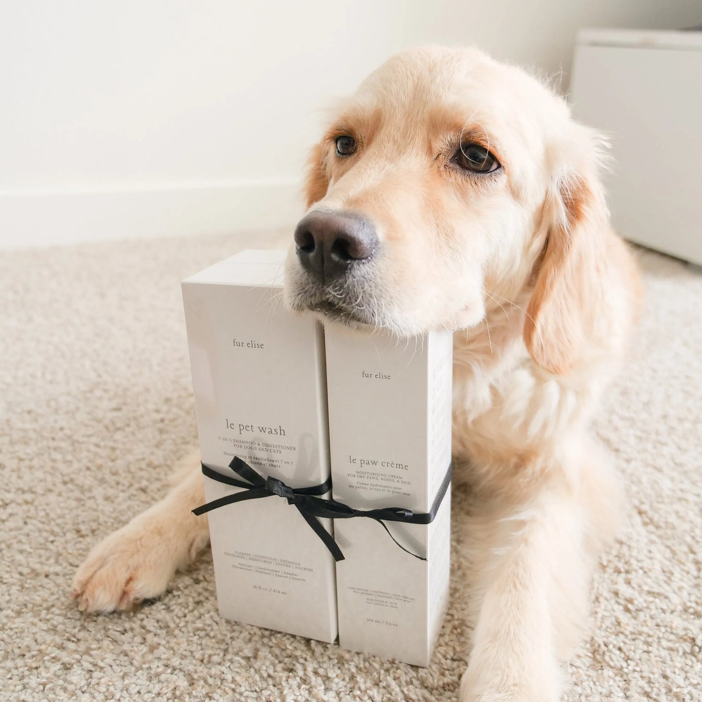 Purrfect Pet Kingdom® - Le Pawsh Set - Dog Shampoo & Conditioner