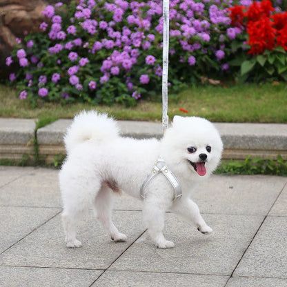 Purrfect Pet Kingdom® - Leashing Rope For Dogs Cats Chest Straps Pet Supplies - 0