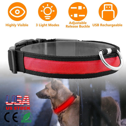 Purrfect Pet Kingdom® - LED Dog Collar USB Rechargeable Adjustable Dog Safety Collar