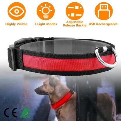 Purrfect Pet Kingdom® - LED Dog Collar USB Rechargeable Adjustable Dog Safety Collar