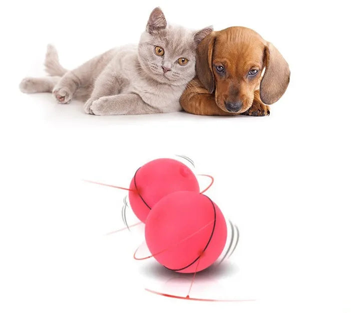 Purrfect Pet Kingdom® - LED Laser Electronic Rolling Pet Funny Cat Toy Ball - Cat Toys