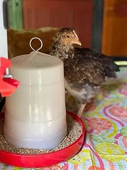 Purrfect Pet Kingdom - Little Giant 3Lbs Plastic Hanging Poultry Feeder Ideal for Chicks & Baby Quail - Bird Cage Water Di...