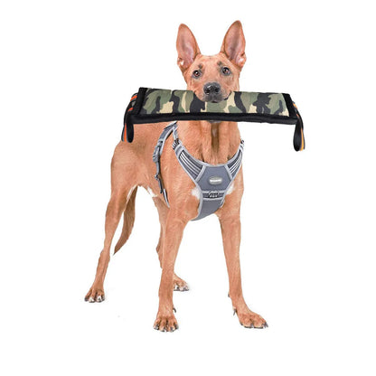 Purrfect Pet Kingdom® - Molar Fine Hemp Bite Stick Bite-resistant Dog Training Stick - Dog Toys