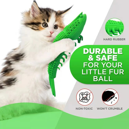 Purrfect Pet Kingdom® - New Catnip Toys For Cats 360 Degree Teeth Cleaning - Cat Toys