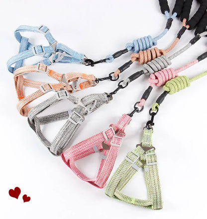 Purrfect Pet Kingdom® - Nylon Pitted Fashion Pet Leash Dog Chest Strap Round Rope - Dog Leashes