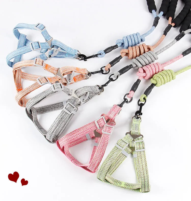 Purrfect Pet Kingdom® - Nylon Pitted Fashion Pet Leash Dog Chest Strap Round Rope - Dog Leashes