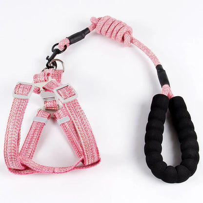 Purrfect Pet Kingdom® - Nylon Pitted Fashion Pet Leash Dog Chest Strap Round Rope - Dog Leashes