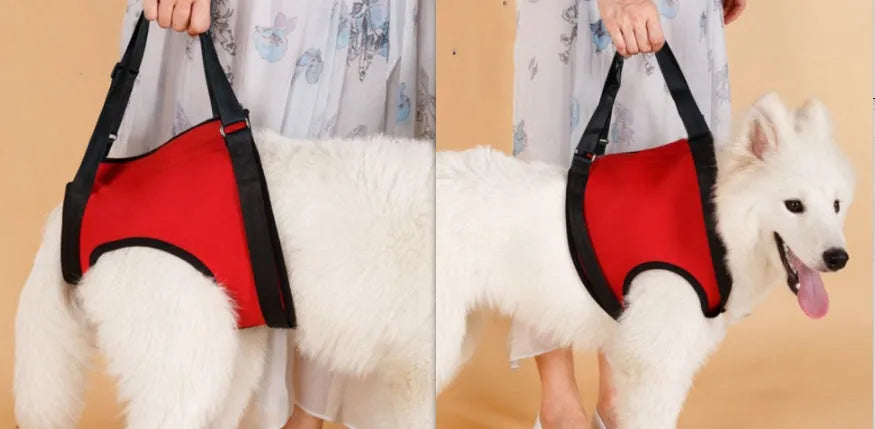 Purrfect Pet Kingdom® - Old Disabled Golden Retriever Dog Pet Auxiliary Strap - 0