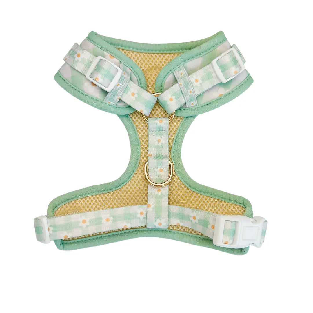 Oopsie Daisy Adjustable Dog Harness Breathable Neoprene Pet. Mint green daisy gingham print with gold D-ring.