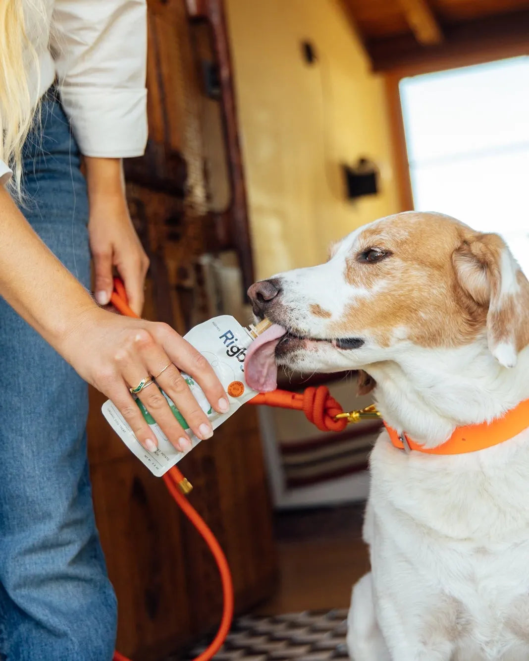 Purrfect Pet Kingdom® - Organic Chicken Pouch - 6 Pack - Chicken