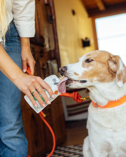 Purrfect Pet Kingdom® - Organic Chicken Pouch for Cats – Six Pack Healthy Meals - Chicken