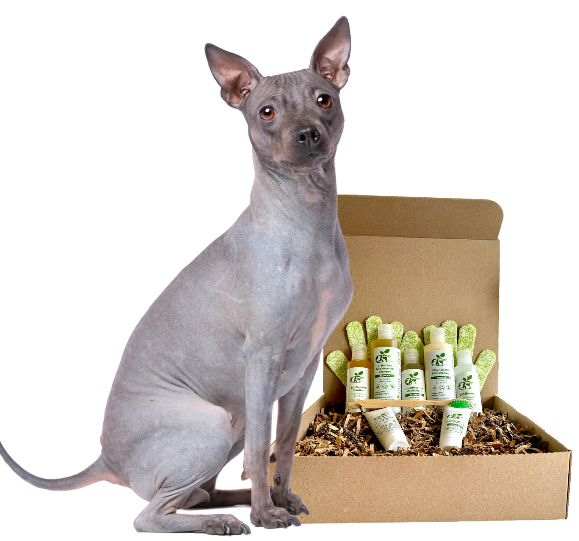 Purrfect Pet Kingdom - Organic Seven Piece Grooming Kit for Sensitive Hairless Dogs - Pet Shampoo & Conditioner
