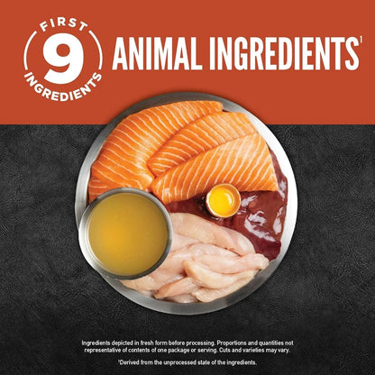 Purrfect Pet Kingdom® - Orijen Grain Free Chunks & Shreds, Salmon & Chicken Wet Cat - Wet Cat Food