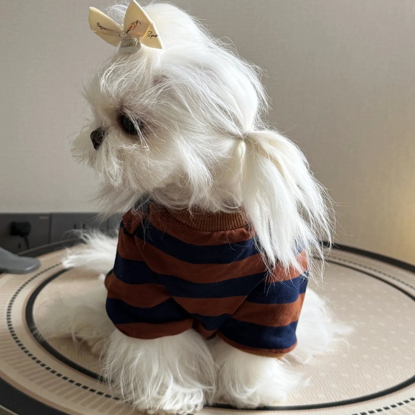 Purrfect Pet Kingdom® - Outdoor Summer Thin Striped Shirt For Dogs - Pet Shirts