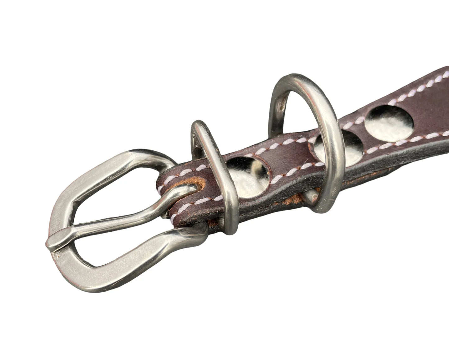 Purrfect Pet Kingdom® - Padded Leather Dog Collar for Dogs – Elegant Beaded Design - Collars