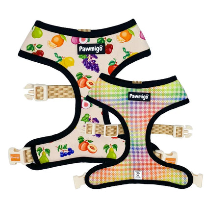 Purrfect Pet Kingdom - Pawmigo Reversible Fruit and Rainbow Plaid Dog Harness Set - Harnesses