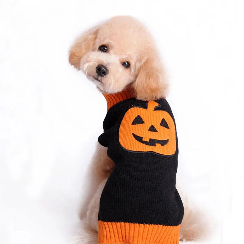 Purrfect Pet Kingdom® - Pet Halloween Dog Knitted Pumpkin Sweater - 0